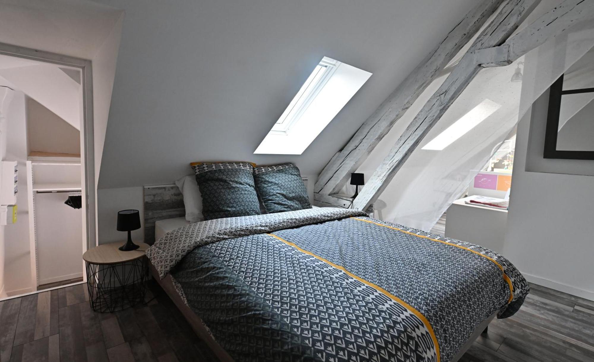 3 Appartements Premium Au Pied De La Cathedrale - Hypercentre Санс Экстерьер фото